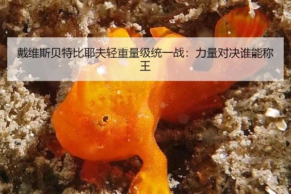 dai-wei-si-bei-te-bi-ye-fu-qing-zhong-liang-ji-tong-yi-zhan-li-liang-dui-jue-shui-neng-cheng-wang-2-385.jpg