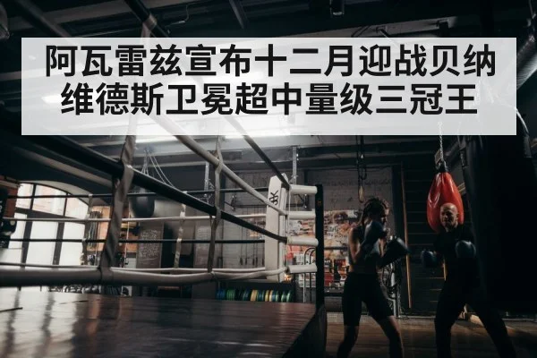boxer training